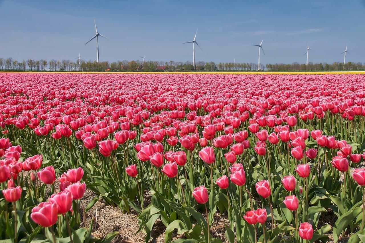 Het Dobbertje, Charmant Houten Huisje Sint Maartensvlotbrug Bagian luar foto